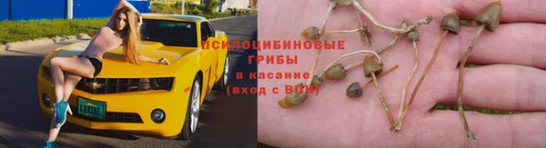 каннабис Надым