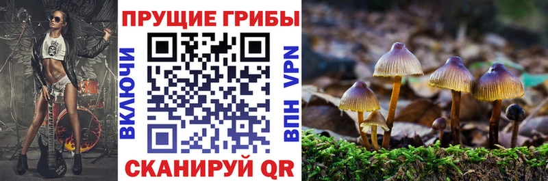 Псилоцибиновые грибы прущие грибы  Купить закладки  Арамиль 